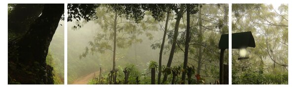 Obraz ranní mlhy (170x50 cm)
