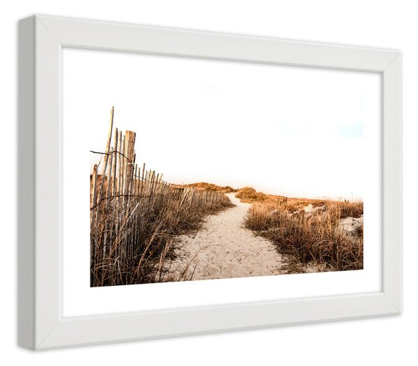 Plakát Sandy path Barva rámu: Bílá, Rozměry: 100 x 70 cm