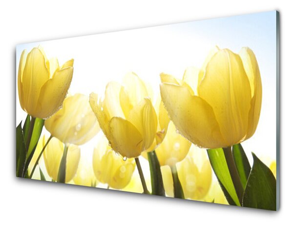 Skleněné obklady do kuchyně Tulipány Květiny Paprsky 100x50 cm