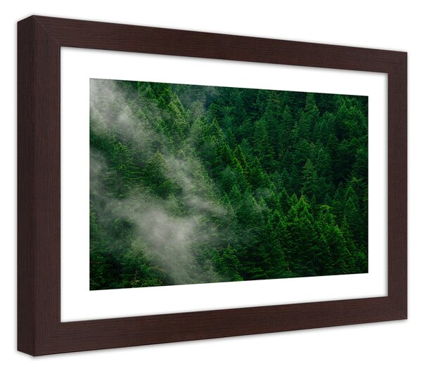 Plakát Mlha nad lesem Barva rámu: Hnědá, Rozměry: 100 x 70 cm