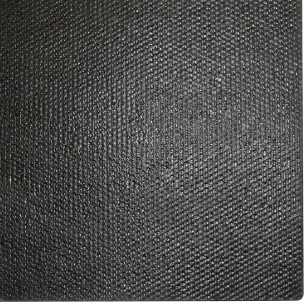 VidaXL Rohožka před dveře přírodní kokosové vlákno, tloušťka 24 mm [155596] Velikost: 100 x 200 cm