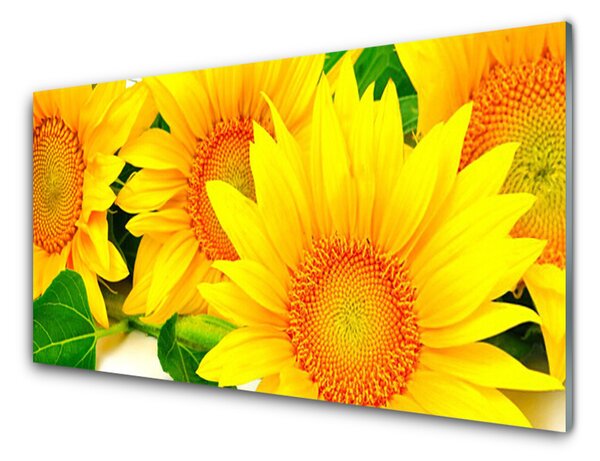 Skleněné obklady do kuchyně Slunečnice Květ Příroda 125x50 cm