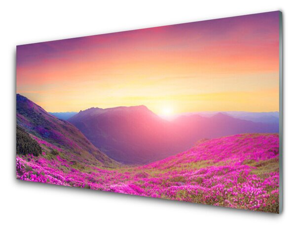 Obraz na skle Slunce Hory Louka Příroda 140x70 cm