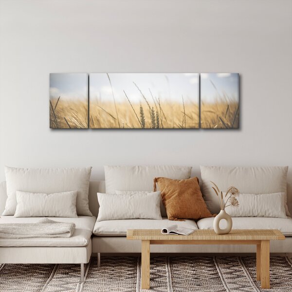 Obraz obilí (170x50 cm)