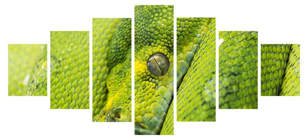 Obraz hada (210x100 cm)
