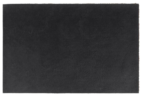 Rohožka před dveře přírodní 40 x 60 cm kokosové vlákno 155608