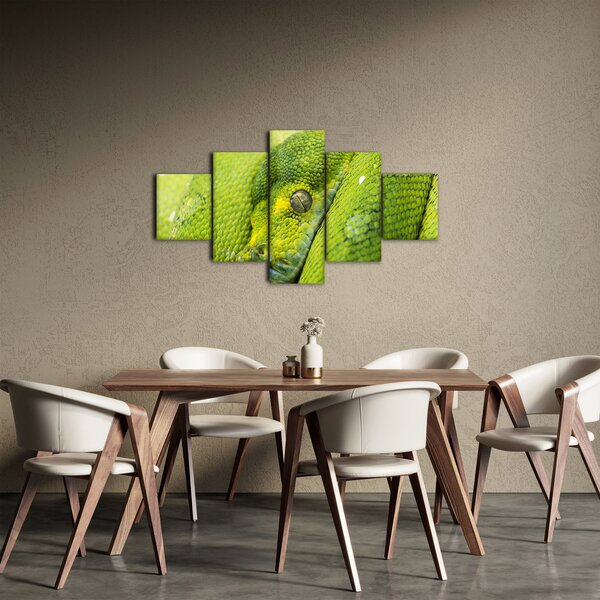 Obraz hada (125x70 cm)