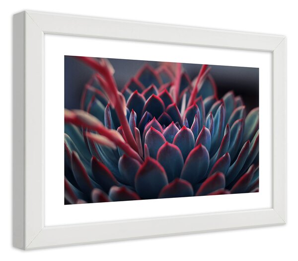 Plakát Krásná rostlina Barva rámu: Bílá, Rozměry: 100 x 70 cm