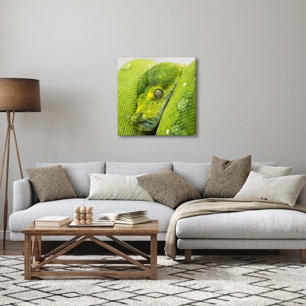 Obraz hada (30x30 cm)