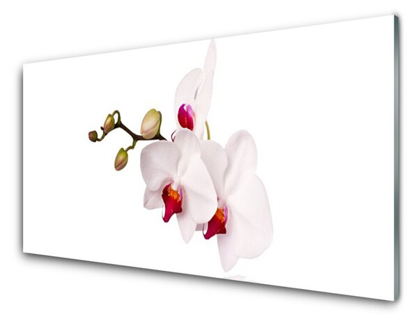 Skleněné obklady do kuchyně Květiny Příroda Orchidej 140x70 cm