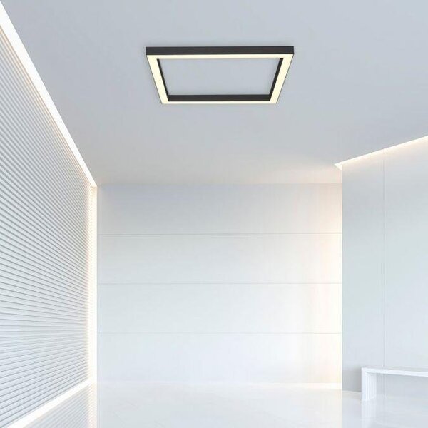 Paul Neuhaus Stropní LED svítidlo PURE-LINES, 29W, 55x55 cm, CCT 2700-5000K