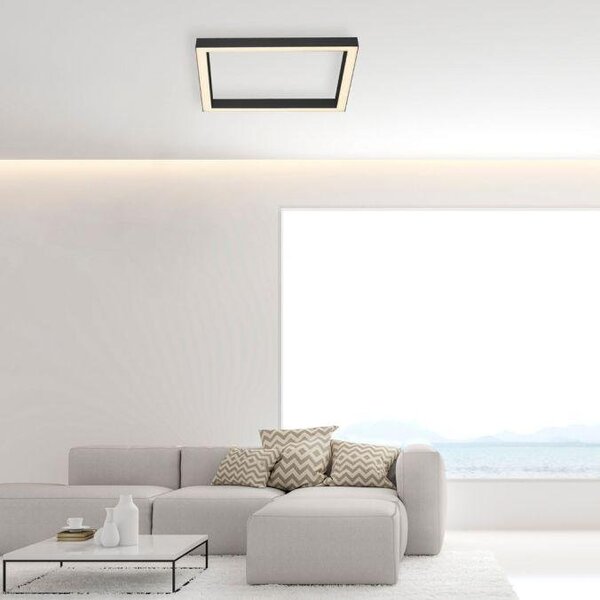 Paul Neuhaus Stropní LED svítidlo PURE-LINES, 29W, 55x55 cm, CCT 2700-5000K