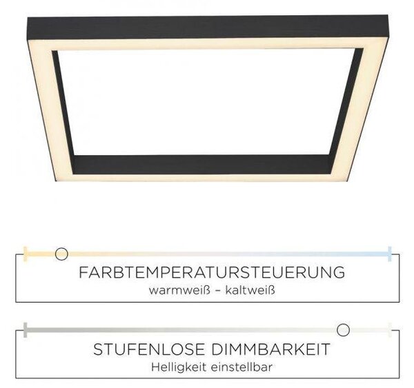 Paul Neuhaus Stropní LED svítidlo PURE-LINES, 29W, 55x55 cm, CCT 2700-5000K