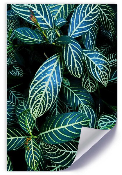 Gario Plakát Šťavnaté zelené listy Barva rámu: Bez rámu, Velikost: 20 x 30 cm