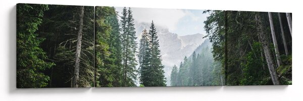 Obraz lesního jezera (170x50 cm)