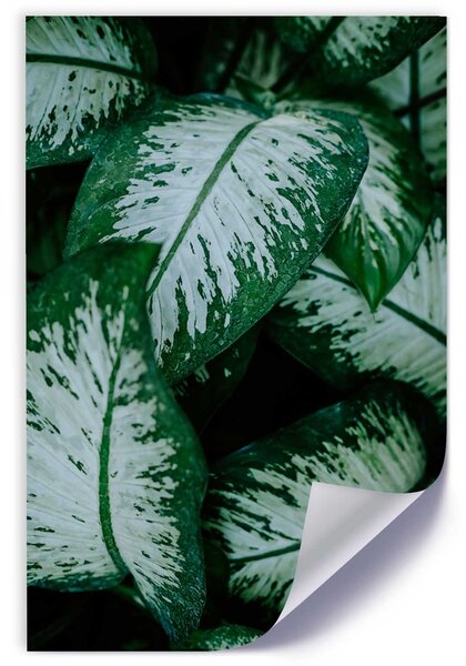 Gario Plakát Zelené tropické rostliny Barva rámu: Bez rámu, Velikost: 20 x 30 cm