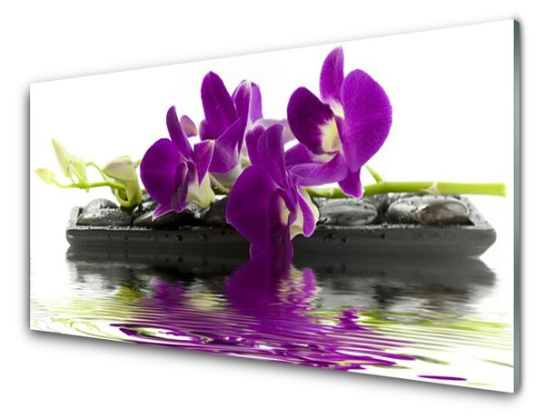 Skleněné obklady do kuchyně Květiny Rostlina Příroda 120x60 cm