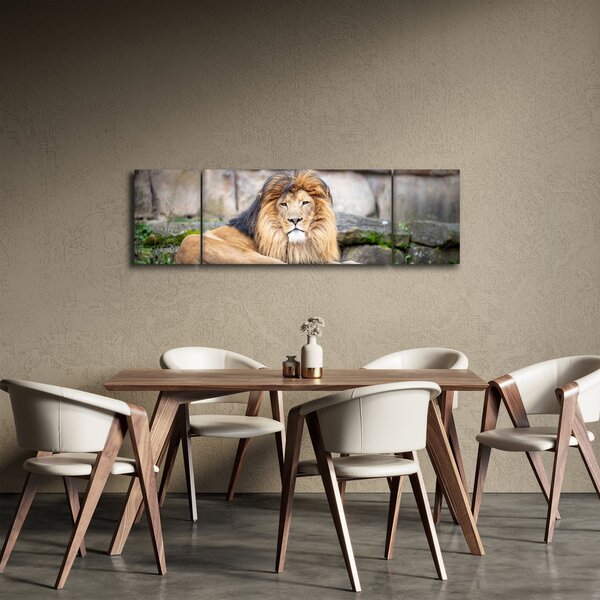 Obraz lva (170x50 cm)