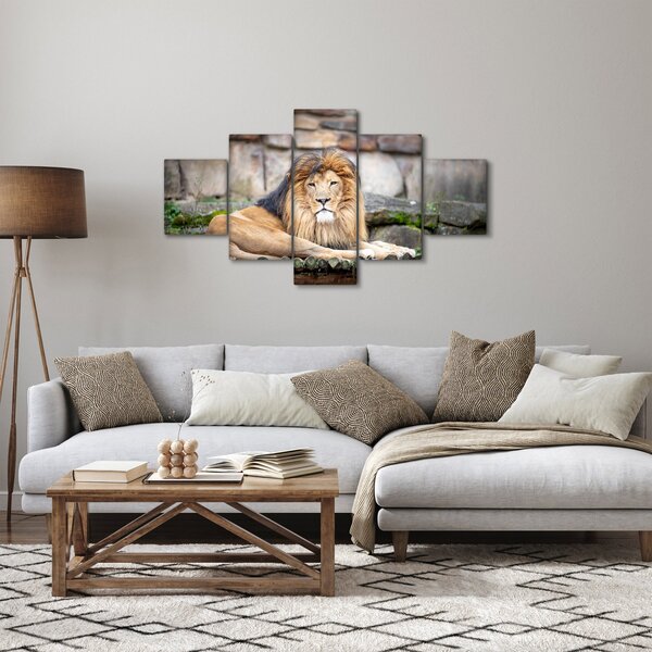 Obraz lva (125x70 cm)
