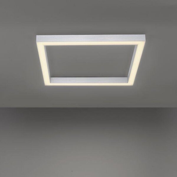 Paul Neuhaus Stropní LED svítidlo PURE-LINES, 36W, 55x55 cm, CCT 2700-5000K
