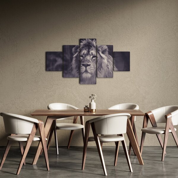 Obraz lva (125x70 cm)