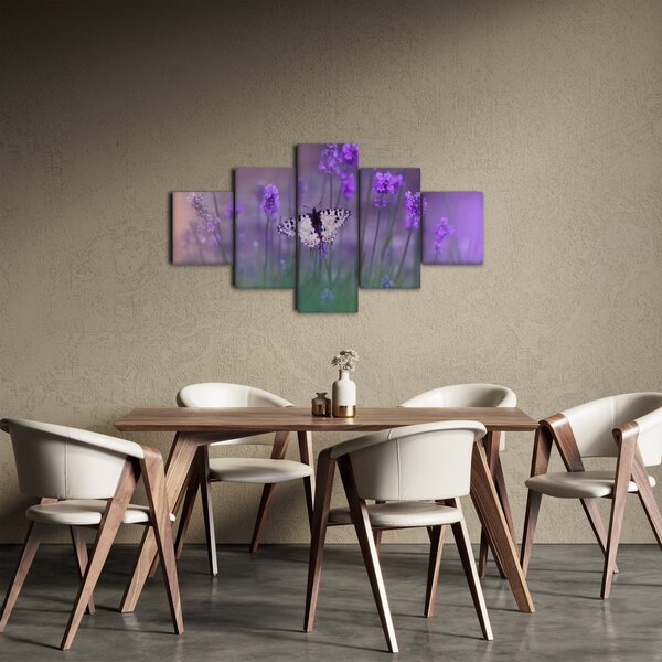 Obraz - Motýl v levandulích (125x70 cm)