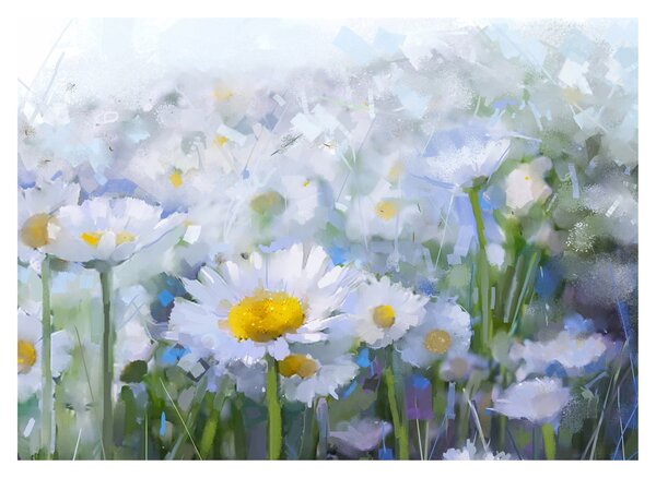 Obraz - V kopretinách (70x50 cm)