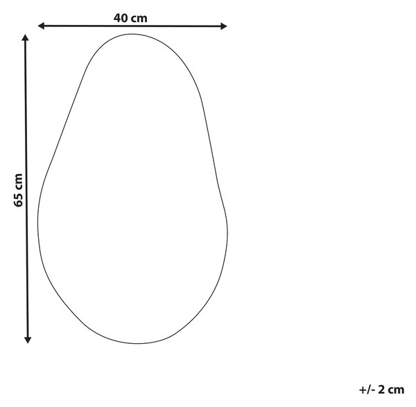 Zrcadlo AUBAGNE 40 cm 65 cm Stříbrná