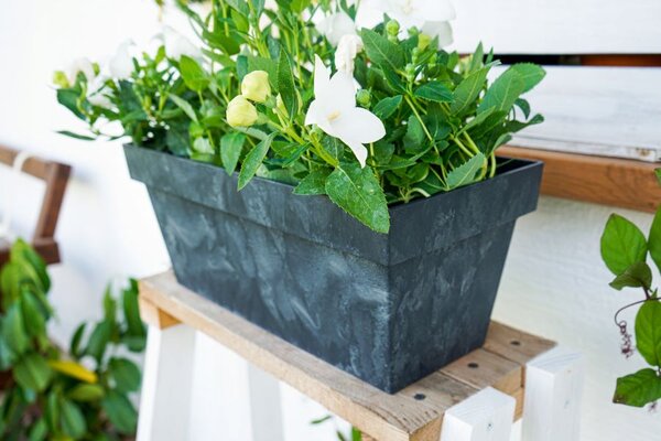 PROSPERPLAST Truhlík CUBE CASE BETON EFFECT antracit 40cm