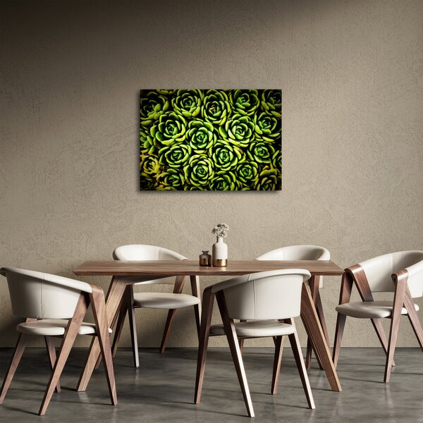 Obraz netřesků (70x50 cm)