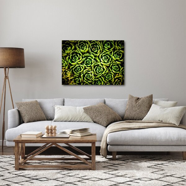 Obraz netřesků (70x50 cm)