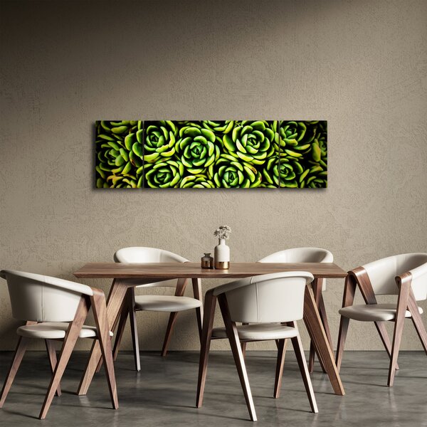 Obraz netřesků (170x50 cm)