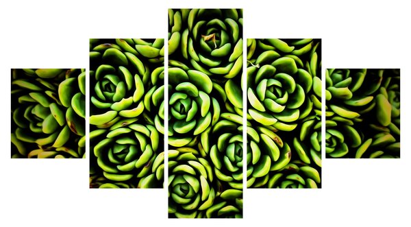 Obraz netřesků (125x70 cm)