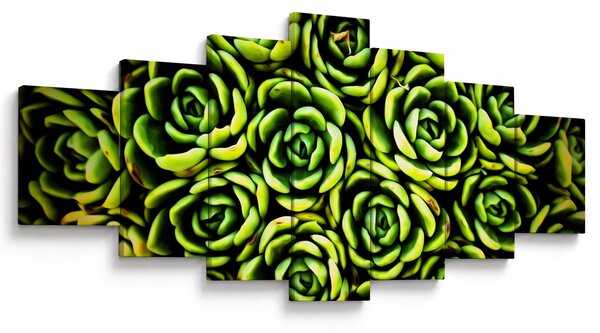 Obraz netřesků (210x100 cm)
