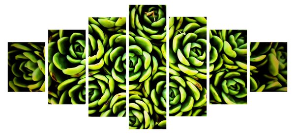 Obraz netřesků (210x100 cm)
