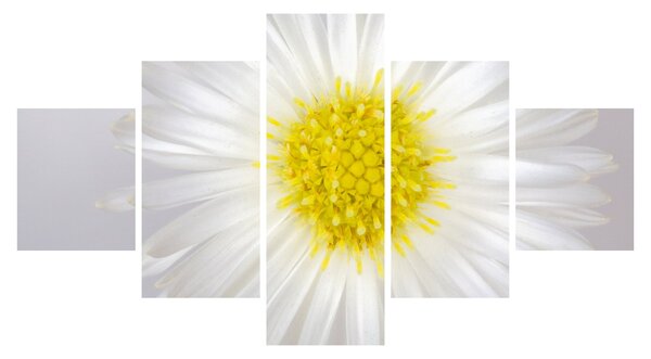 Obraz - Margarita (125x70 cm)
