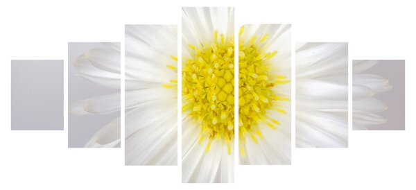 Obraz - Margarita (210x100 cm)