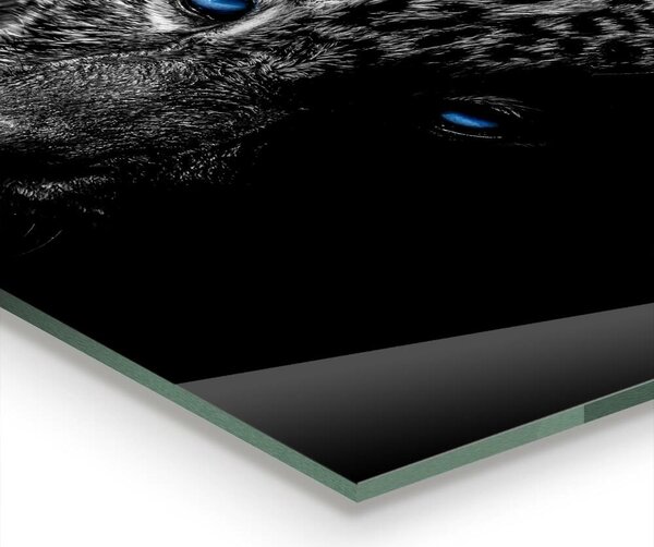 Skleněný panel Divoká kočka dark panther