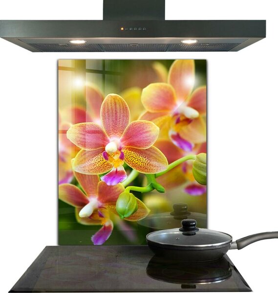 Skleněný panel Oranžová orchidej