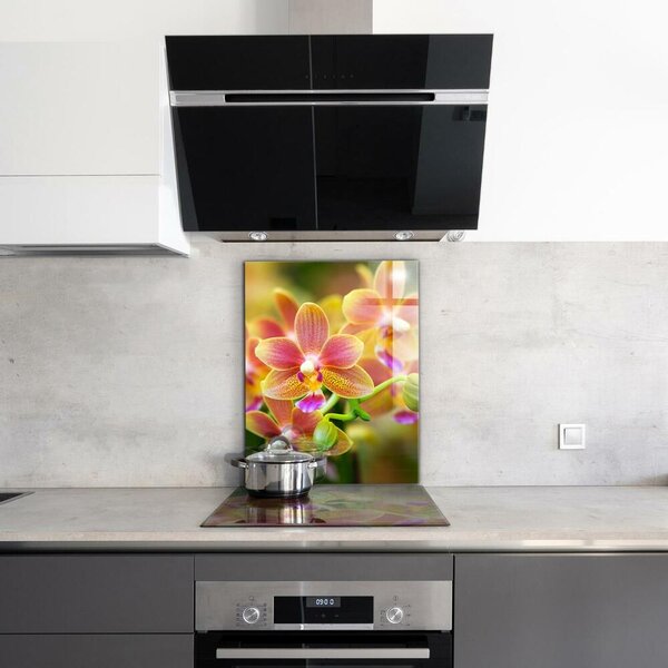 Skleněný panel Oranžová orchidej