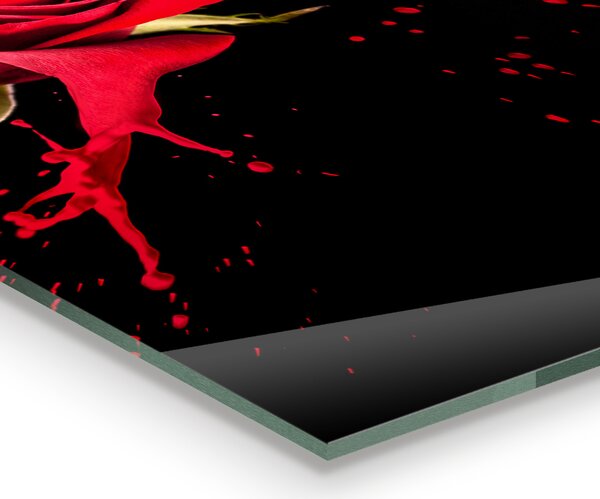 Skleněný panel Abstraktní červená růže