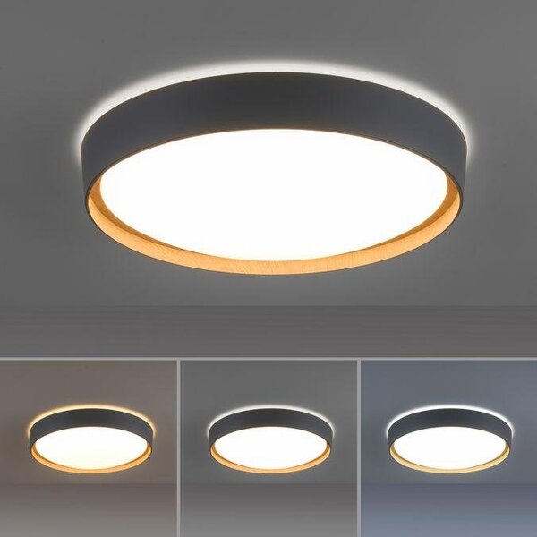 Paul Neuhaus Stropní LED svítidlo Q-EMILIA, 40W, ø 49,6 cm, ZigBee, CCT 2700-5000K