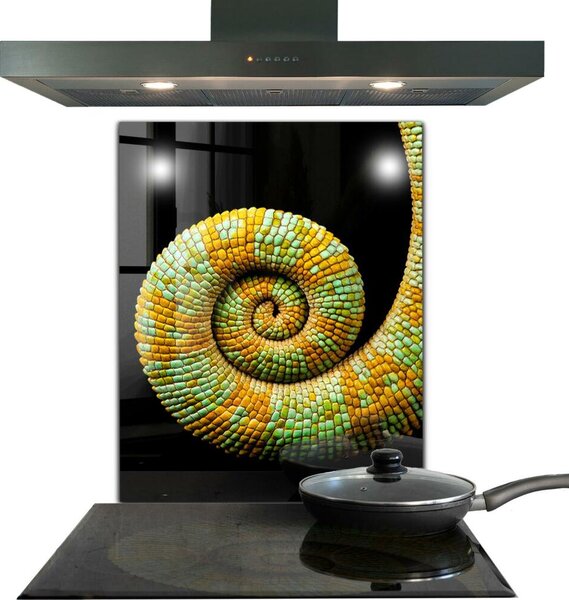 Skleněný panel Příroda chameleon tail