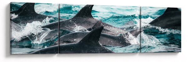 Obraz - Delfíni v oceáně (170x50 cm)