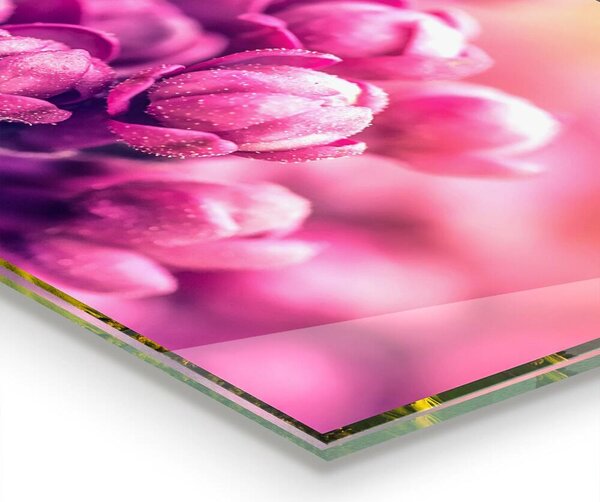 Skleněný panel Přirozená krása růžové lilie