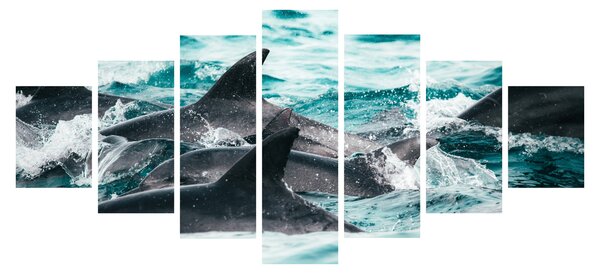 Obraz - Delfíni v oceáně (210x100 cm)