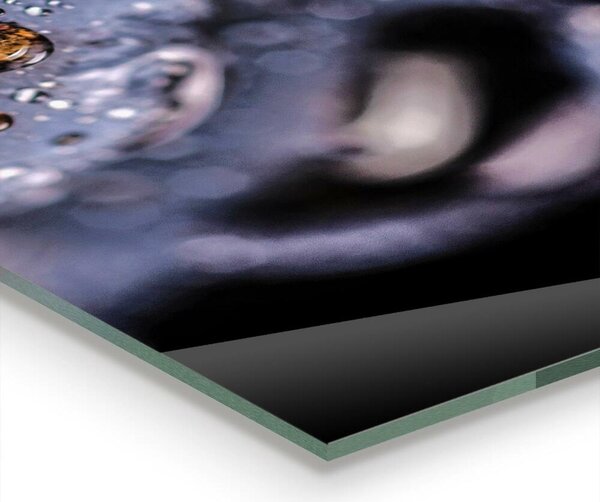 Skleněný panel Šťavnaté borůvky