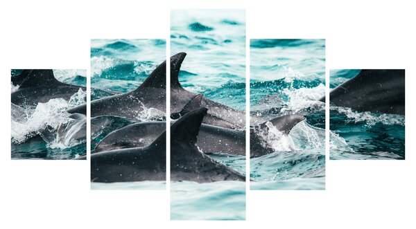 Obraz - Delfíni v oceáně (125x70 cm)