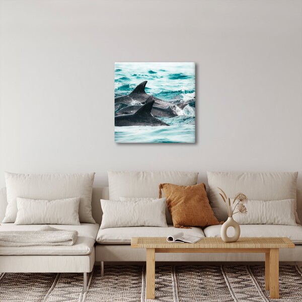 Obraz - Delfíni v oceáně (30x30 cm)