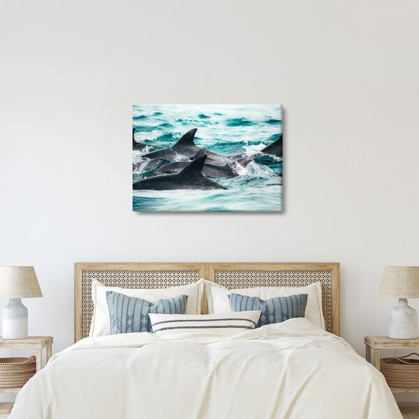 Obraz - Delfíni v oceáně (70x50 cm)